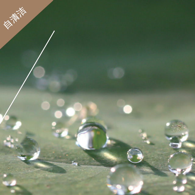 自清潔