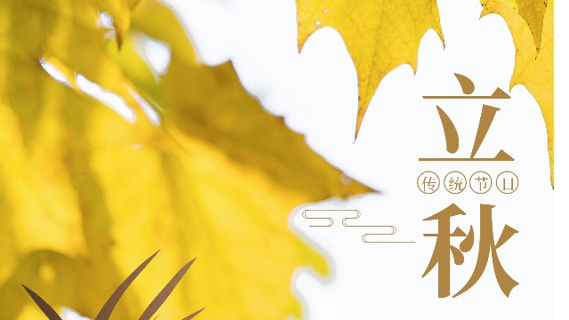 立秋|梧桐落葉，悄然秋色